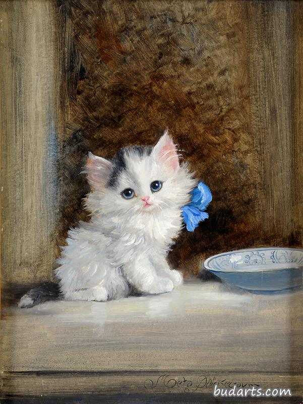 小猫