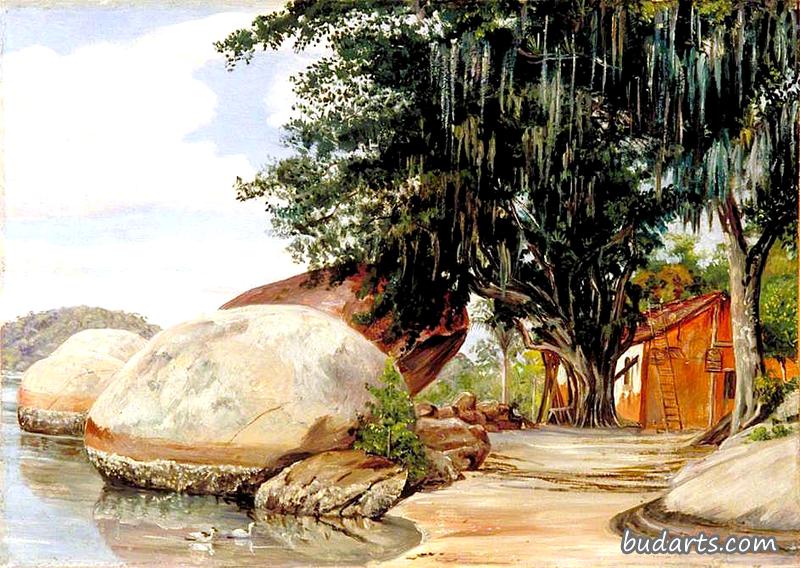 巴西帕奎塔的巨石、渔夫小屋和悬挂着空气植物的树