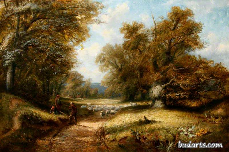 一个牧羊人在穿过树林的路上的风景
