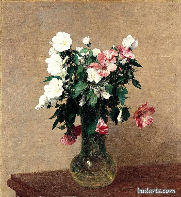 花瓶里的白色和粉色锦葵