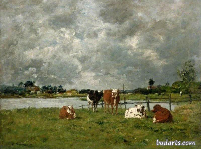 暴风雨下的田野里的牛