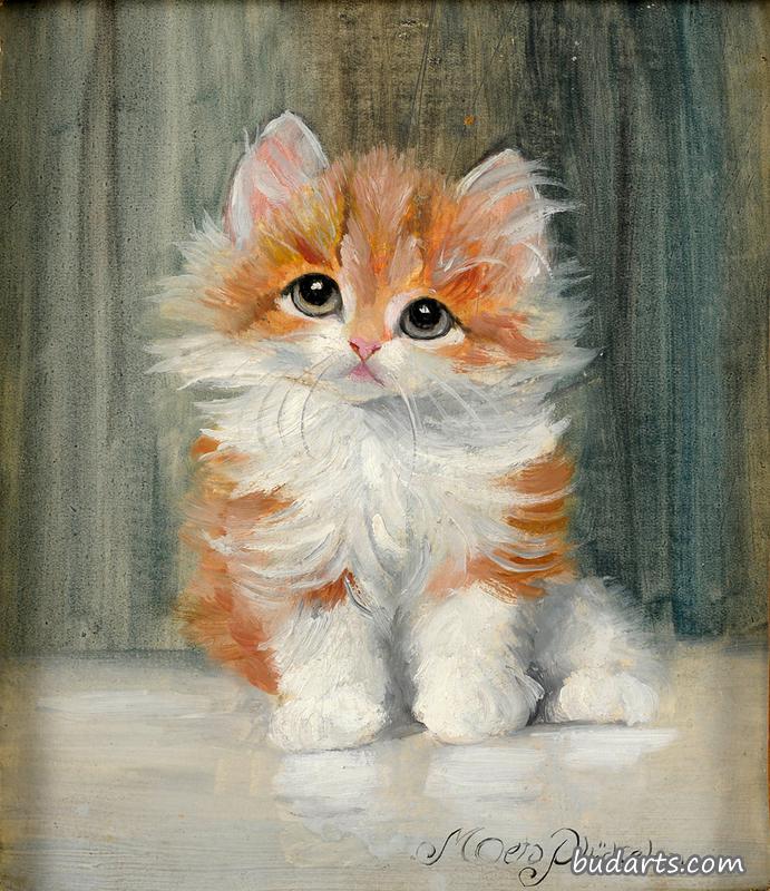 小猫