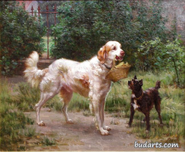 英国猎犬