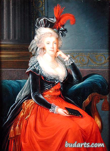 奥地利玛丽亚·卡罗莱纳的肖像，那不勒斯女王的配偶