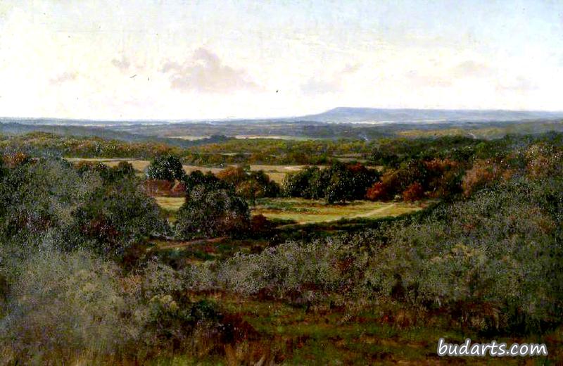 Blackdown from Hascombe