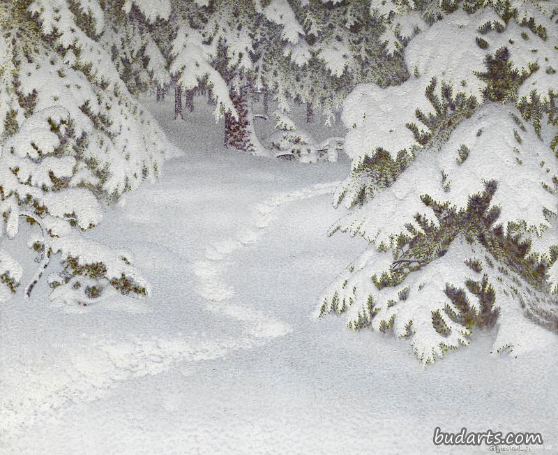 冰雪覆盖冷杉的冬季景观