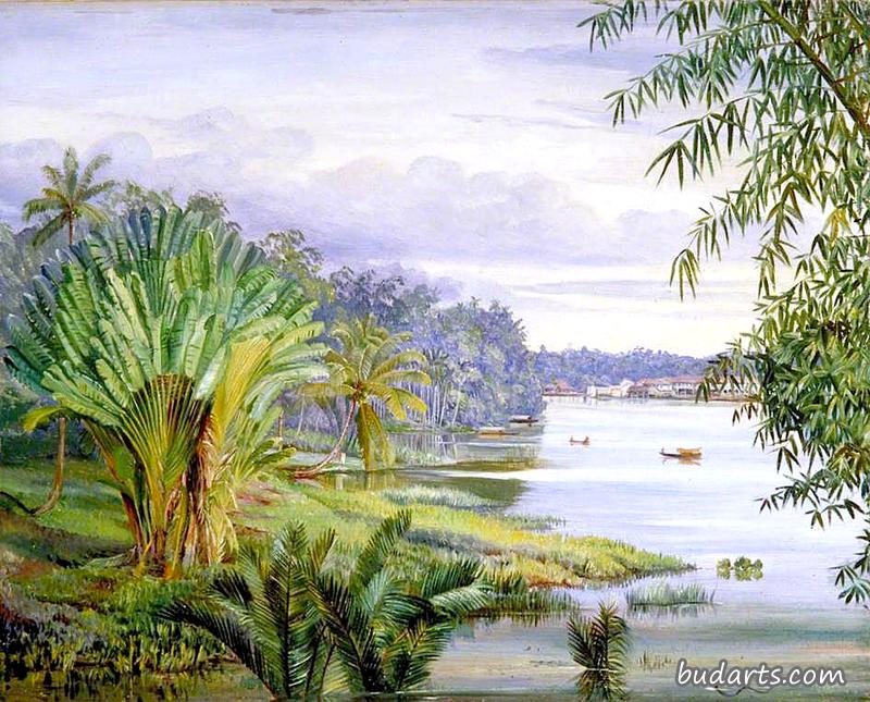 婆罗洲沙捞越古晋河景观