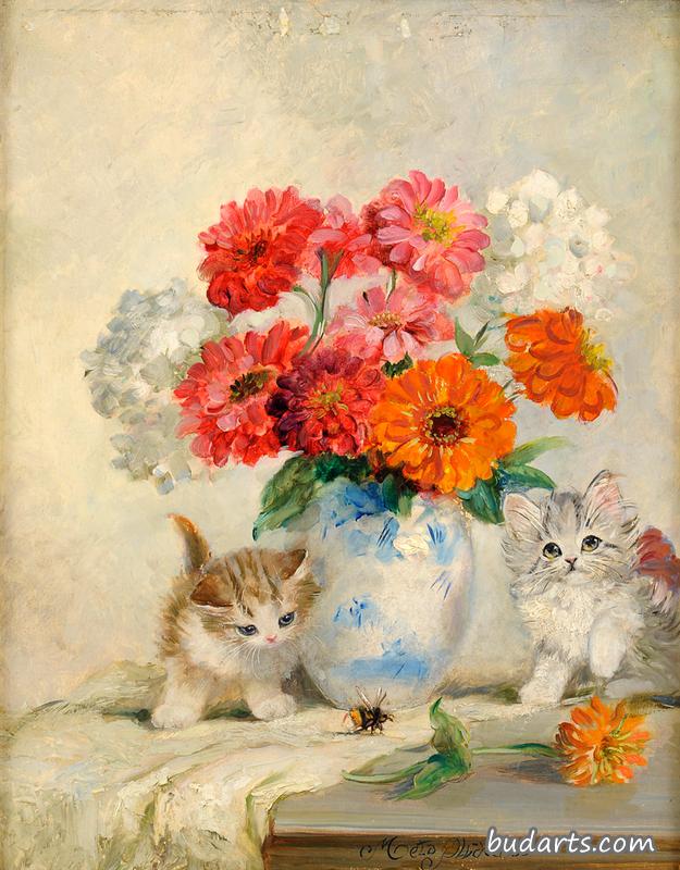 花和小猫