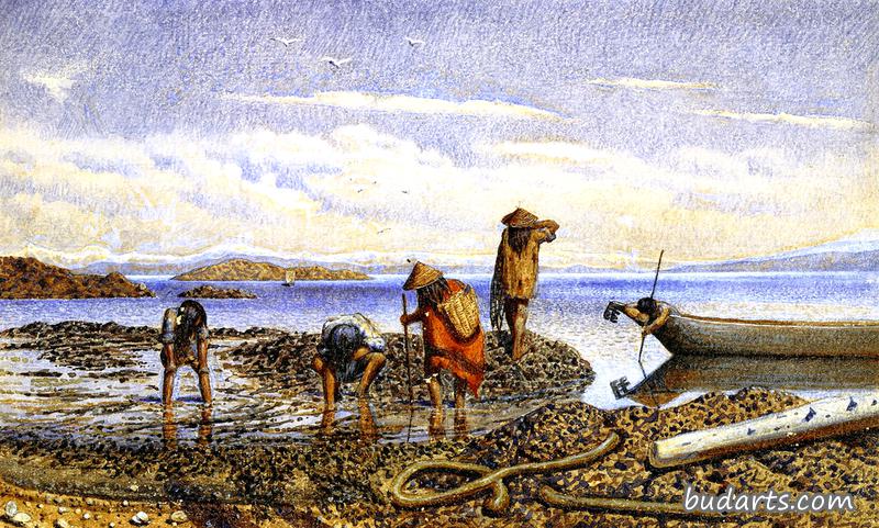 维多利亚岛，印第安人采集贝类