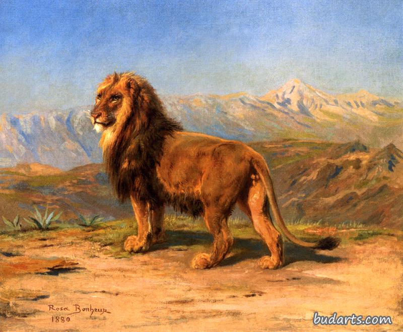 山景中的狮子