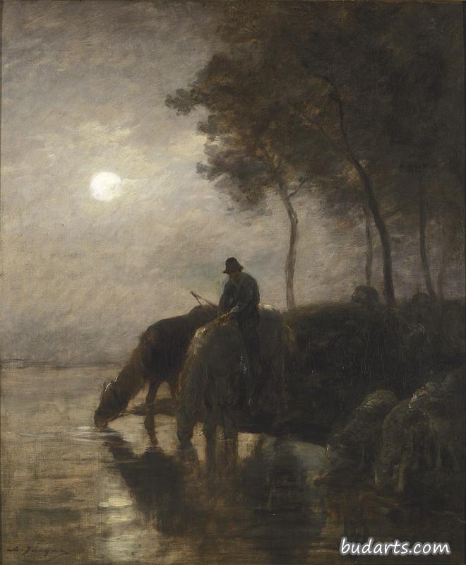 马和羊在月光中喝水