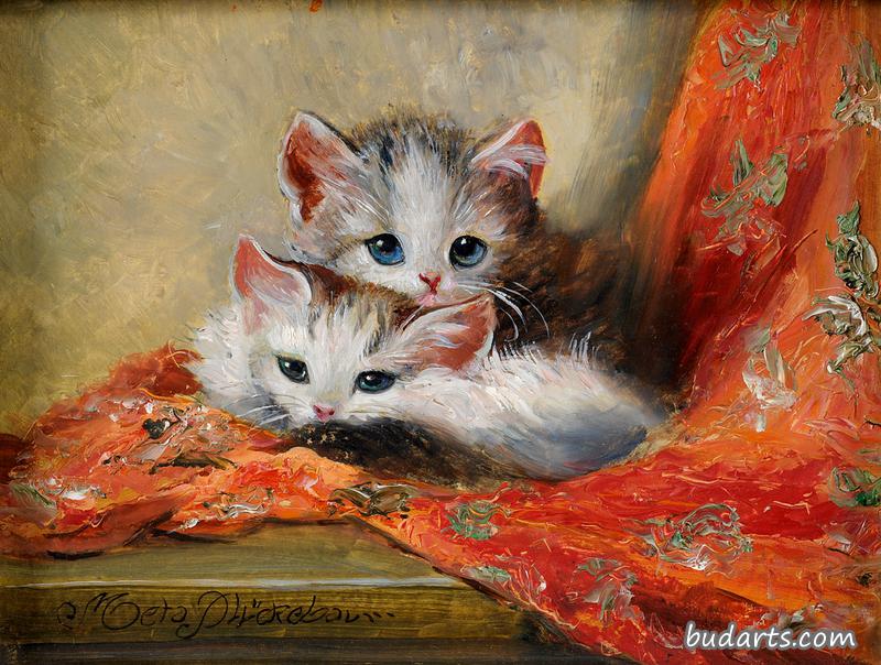 小猫