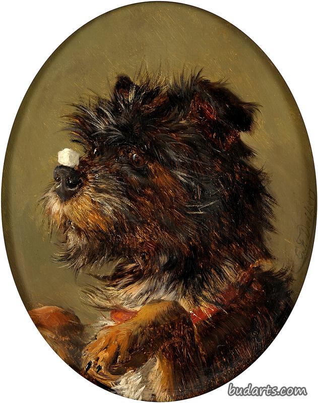 马戏犬