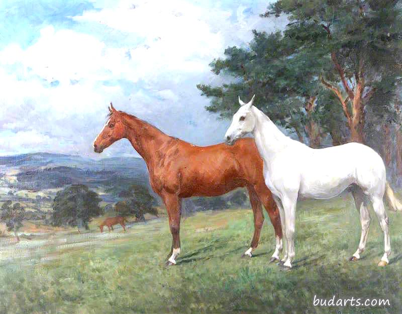 风景中的两匹马：栗子和灰猎人