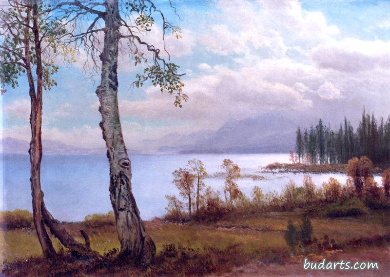 塔霍湖