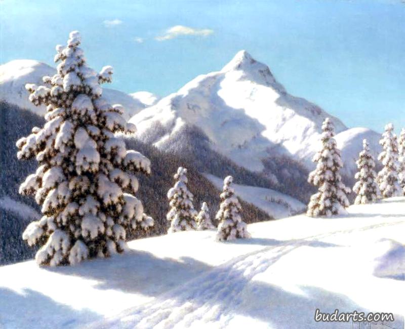 雪松