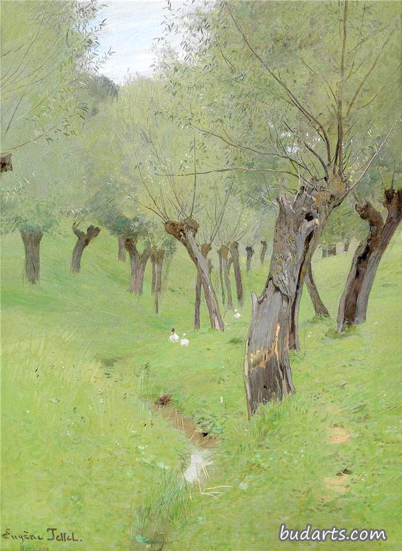 柳树