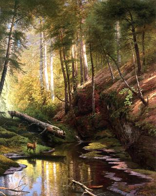 Scene on Adams Brook, Pike County, Pennsylvania