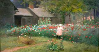 The Poppy Garden