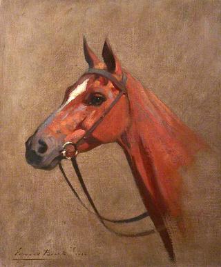 Study of a Horse's Head