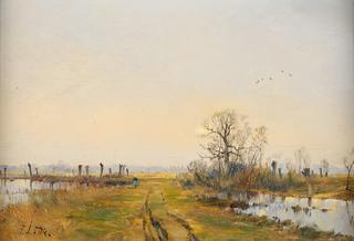 Lakelands