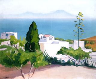 Landscape of Sidi Bou Said