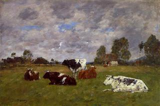 Cows in a Pasture