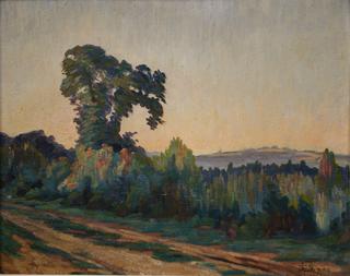 Tree, Balagny