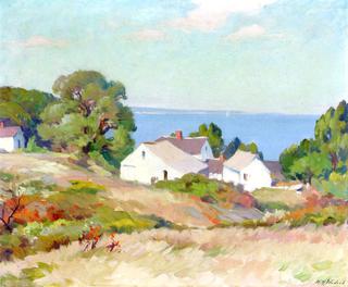 Houses along the Coast