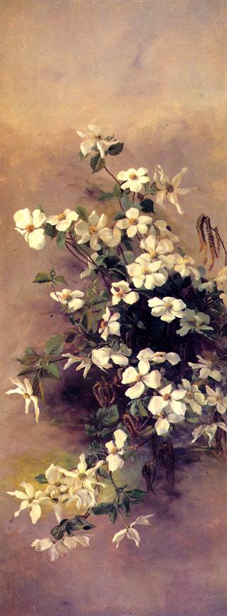 Madrone, Dogwood and Elderberry (II)