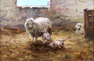 Two Lambs