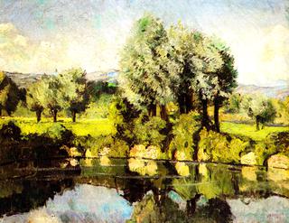 Willows