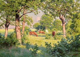 Summer landscape with cows
