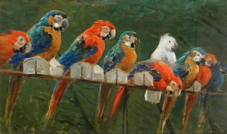 Parrots
