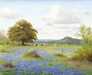 Countryside with Blue Bonnets