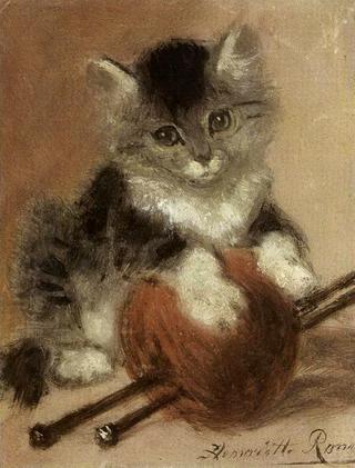 kitten with a ball of yarn