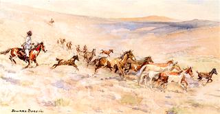 Running Wild Horses
