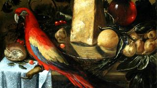 Still-life with a Parrot Macaw