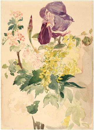 鸢尾花、金莲花和天竺葵，1880 年