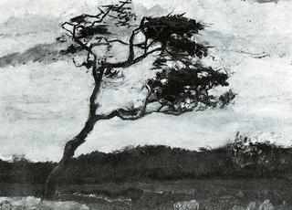 Tree, Whipped by the Wind