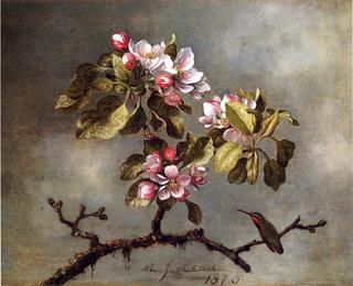 Apple Blossoms and Hummingbird