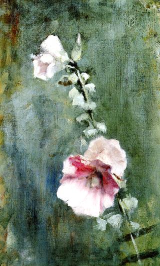 Hollyhock