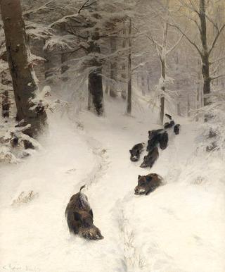 Boars in winter forest