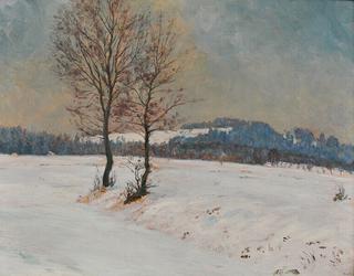 A Winter Landscape at Svobodné Hamry