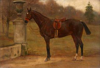 A Saddled Dark Bay Horse next to an Urn in a Garden
