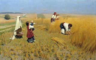 Harvest Time in Ukraine