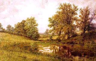 Pond near Whittem's Farm, near Coundon, Warwickshire