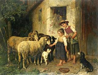 Feeding The Sheep