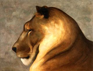 Head of a Lion