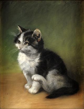 The Kitten